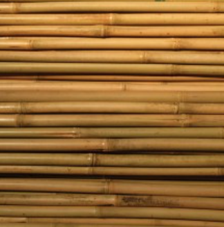 Tukikeppi bambu