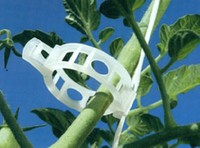 Taimen sidontanaru, biohajoava halk. 1,6 mm, 3550 m kerä