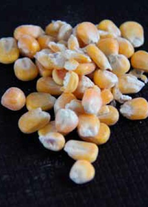  Diana Skoonemaissi Riistarehu 