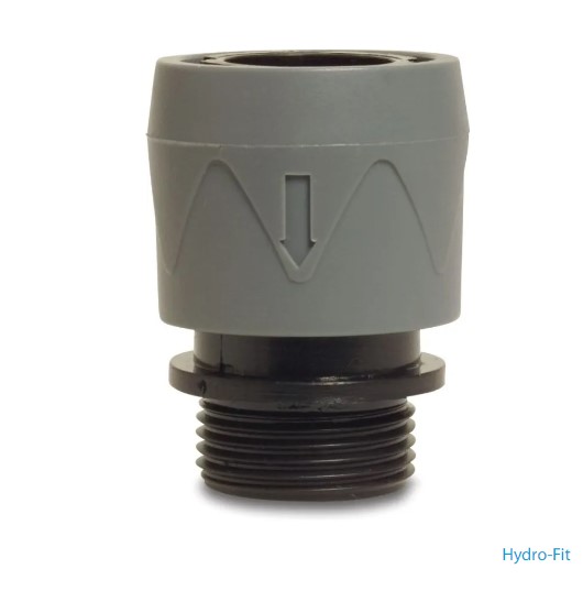  Musta-harmaa pikaliitin uroskierteellä 