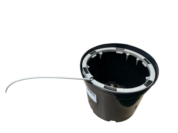  Kastelurengas 25 cm  