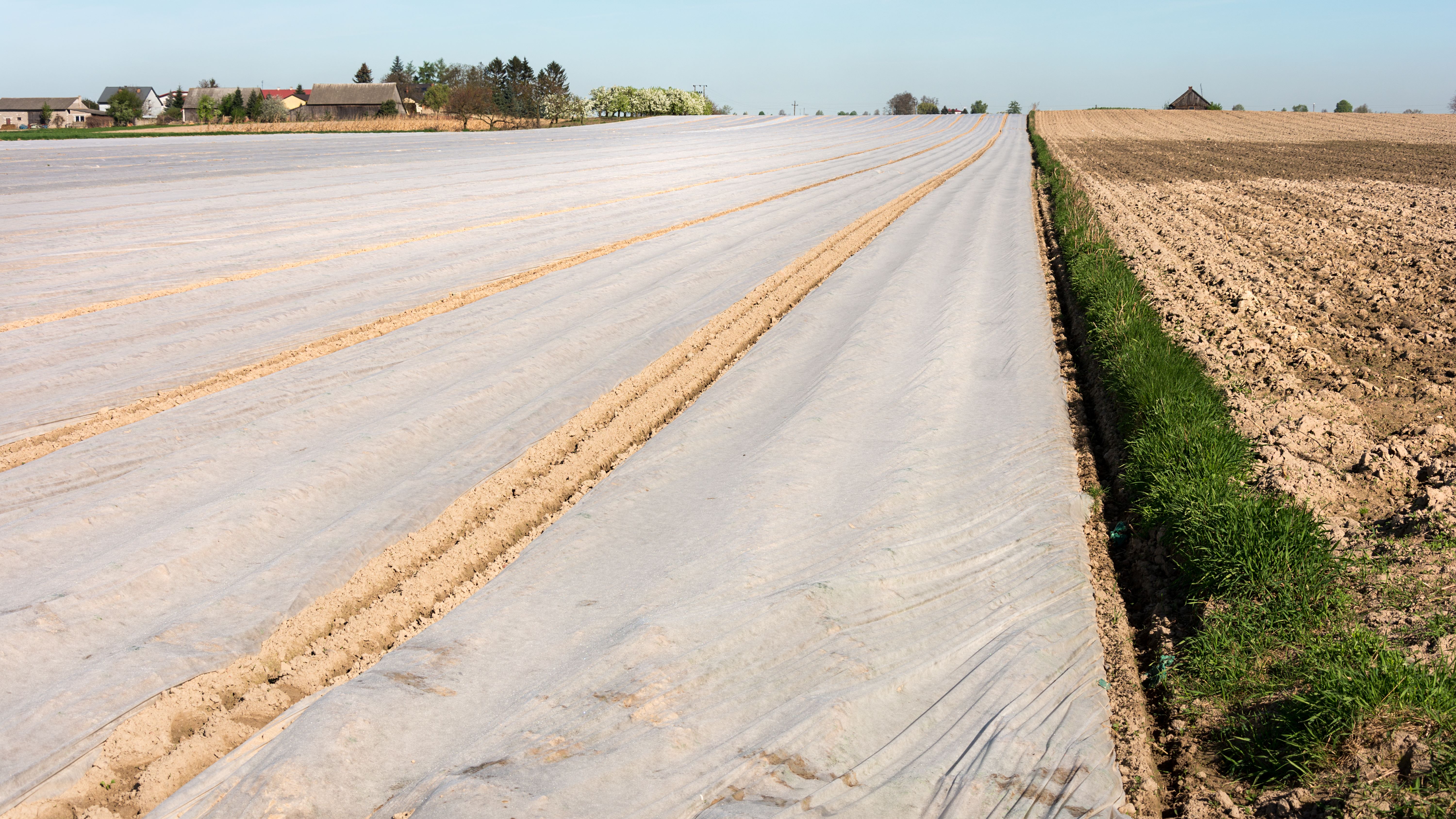  Harso 23 g/m² 16,0 x 250m 