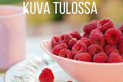  Vadelma Lagorai 2C satotaimi 