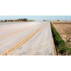 Harso 23 g/m²  1,6 x 100m